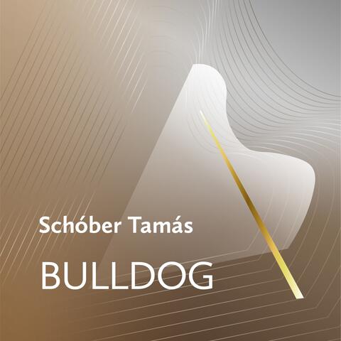 Bulldog
