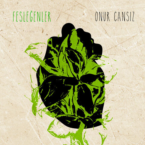Fesleğenler