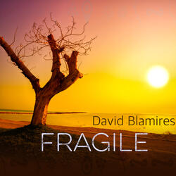 Fragile