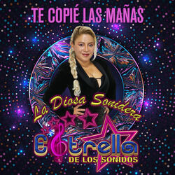 Te Copié las Mañas