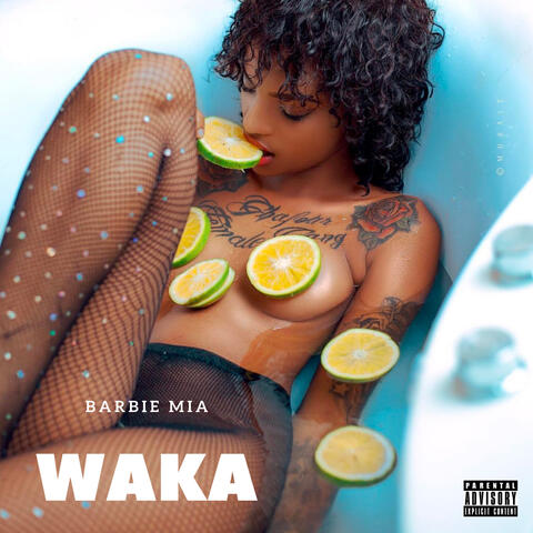 Waka