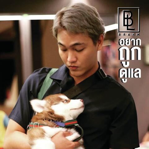 อยากถูกดูแล
