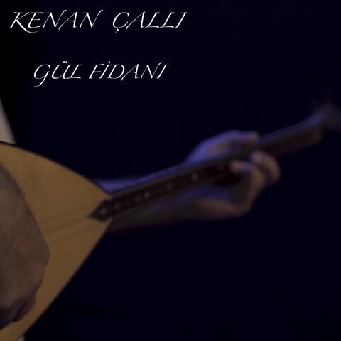 Gül Fidanı