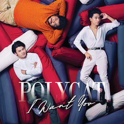 พบกันใหม่ - Percussion Set
