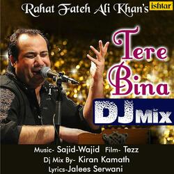 Tere Bina (DJ Mix)