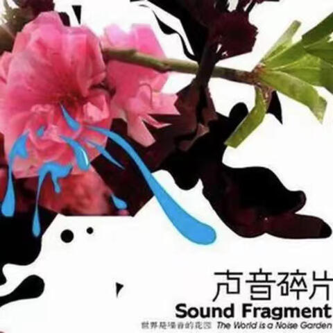 世界是噪音的花园