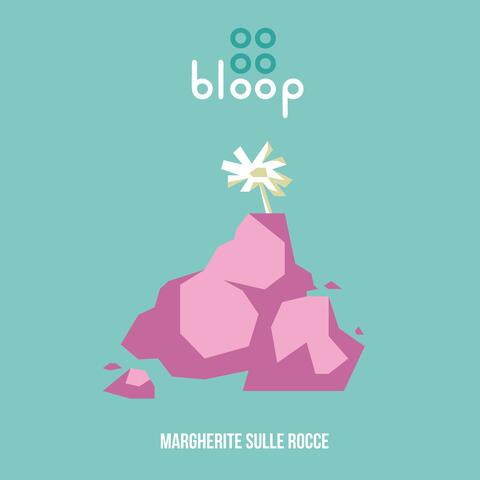 Margherite sulle rocce