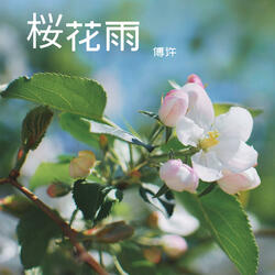 桜花雨