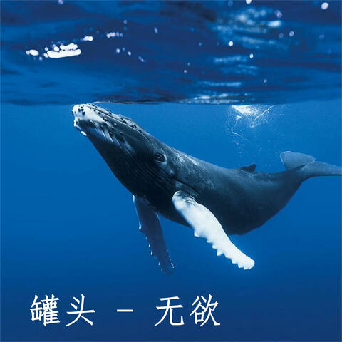 无欲