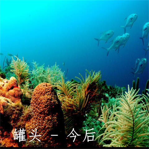今后