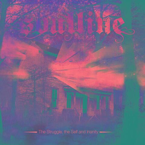 The Struggle, the Self and Inanity