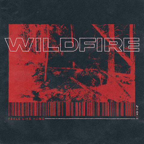 Wildfire