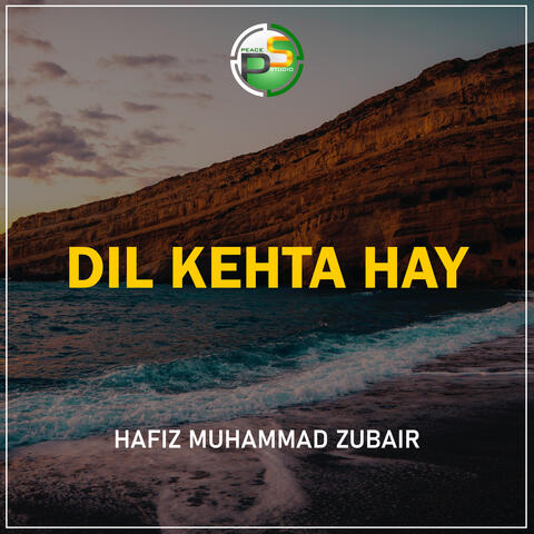 Dil Kehta Hay