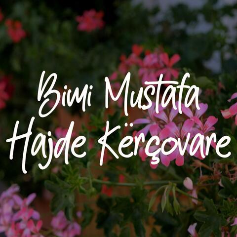 Hajde kërçovare