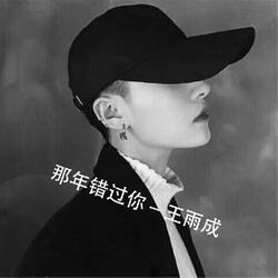 那年错过你