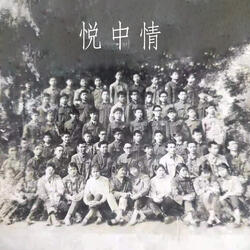 悦中情