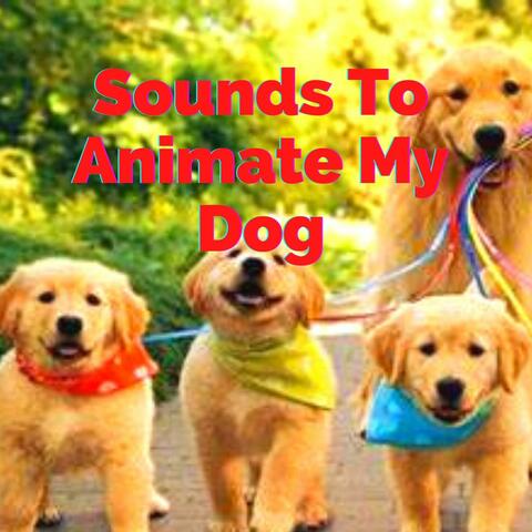 Sounds To Animate My Dog