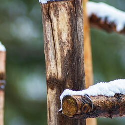 Snow Land