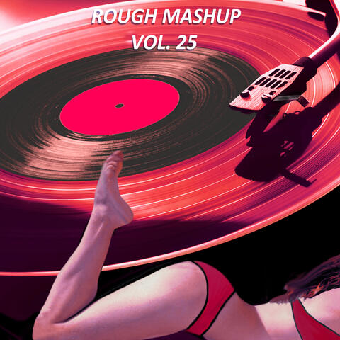 Rough Mashup, Vol. 25