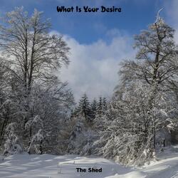 What Is Your Desire