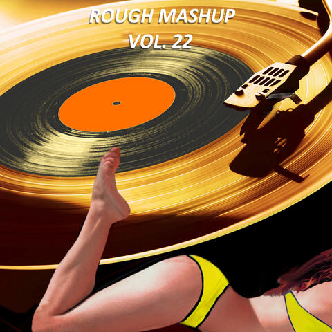 Rough Mashup, Vol. 22