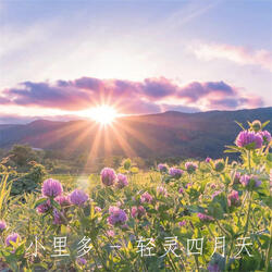 轻灵四月天