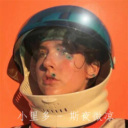 斯夜微凉
