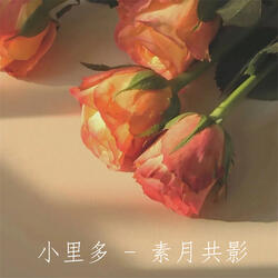 素月共影