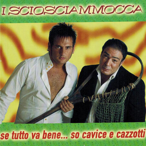 Se tutto va bene...so cavice e cazzotti