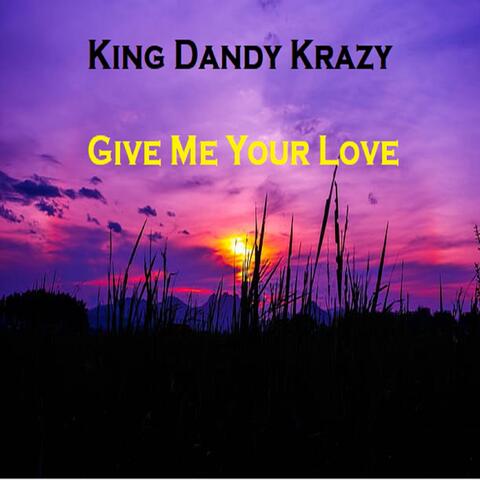 Give Me Your Love