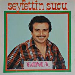Sevme Demedim Mi