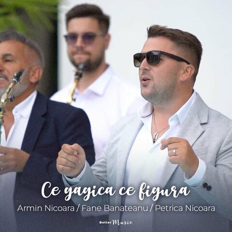 Ce Gagica Ce Figura