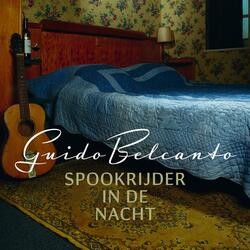 Spookrijder In De Nacht