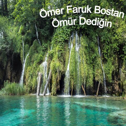 Ömür Dediğin