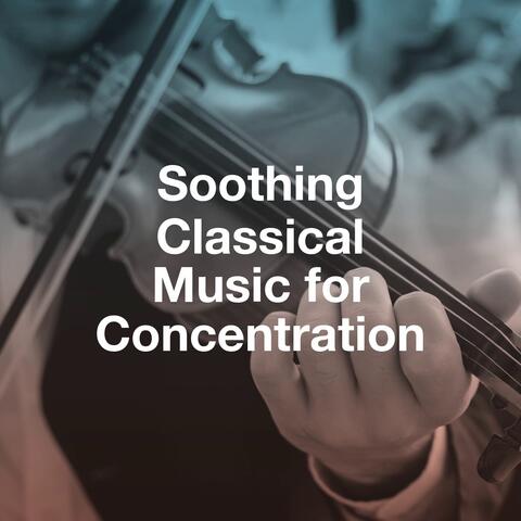 Soothing Classical Music for Concentration