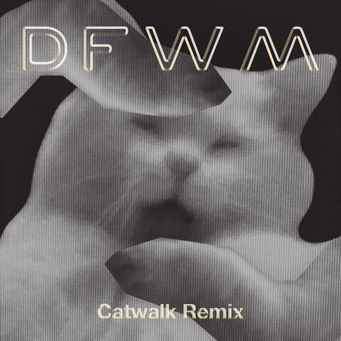 DFWM