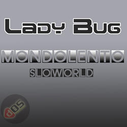 Lady Bug