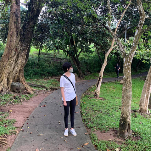 Short Holiday