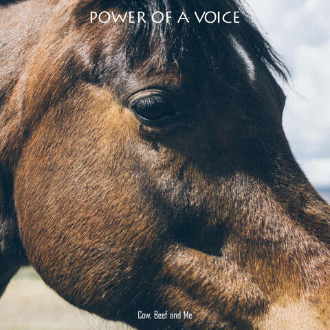 Power Of A Voice