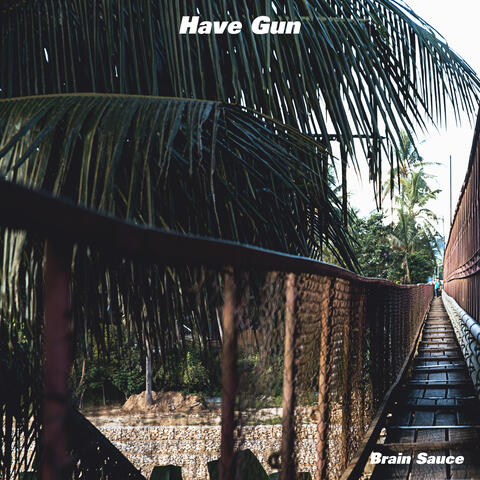 Have Gun