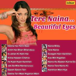 Naino Ko Baaten Karne Do (From "Elaan")