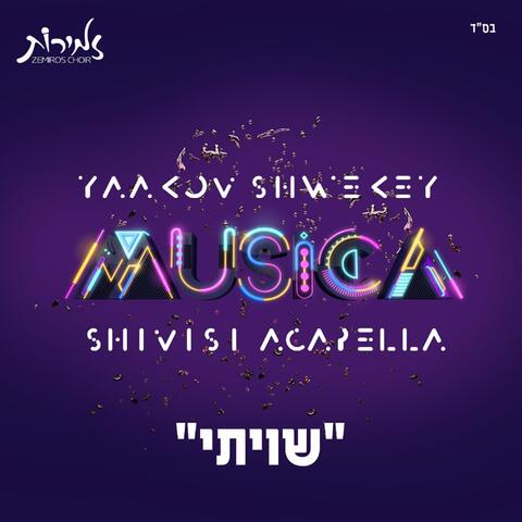 Shvisi