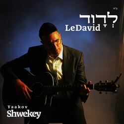 לדוד Ledavid