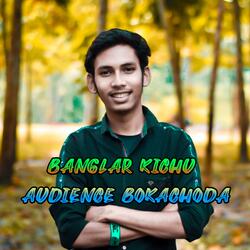 Banglar Kichu Audience Bokachoda