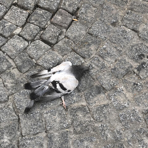 Voldebière