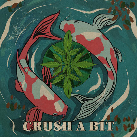 Crush a Bit