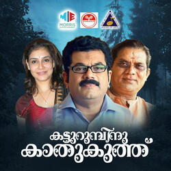 Amirtham Choriyum