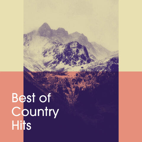 Best of Country Hits