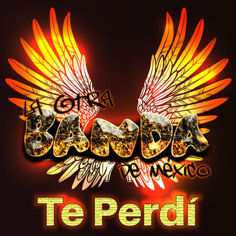 Te Perdí