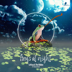 Frogs at Night